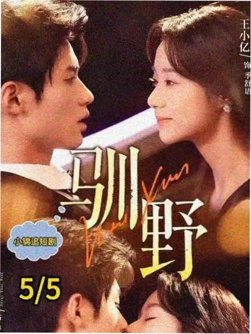 迷雾之城 策驰影视在线看2026